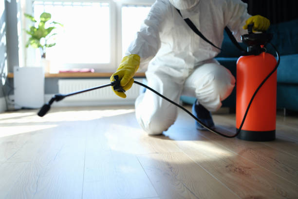 Reliable Sewage Cleanup contractor in Lake Helen, FL by Trauma Clean Pros
